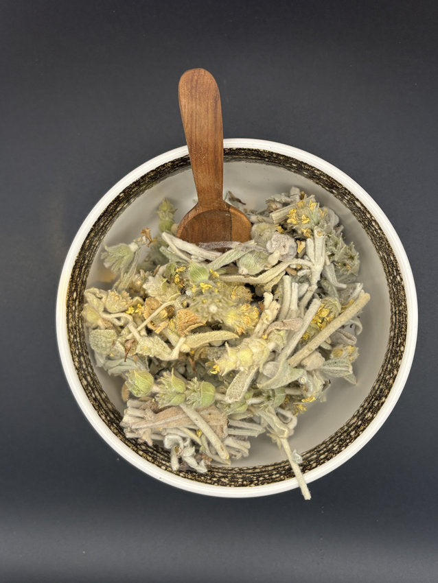 Griechischer Bergtee "Sideritis syrica"